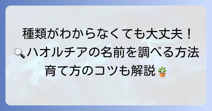 ハオルチアの種類を調べるための方法