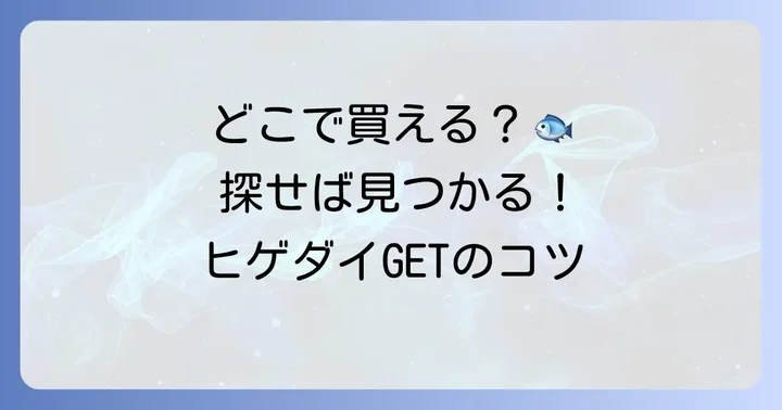 ヒゲダイはどこで手に入る?購入方法と選び方