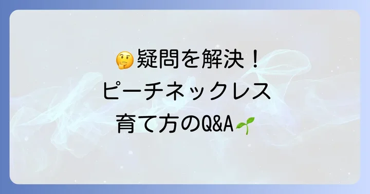 よくある質問