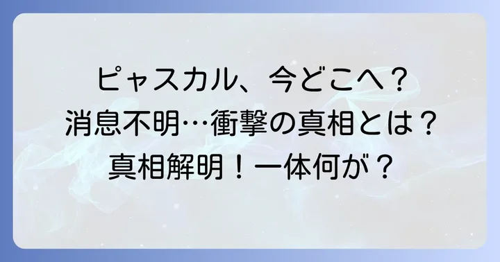 ピャスカルの現在の状況は?消息不明の現状と憶測