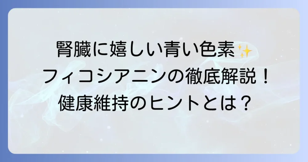 フィコシアニンは腎臓に良い？期待と注意点を徹底解説