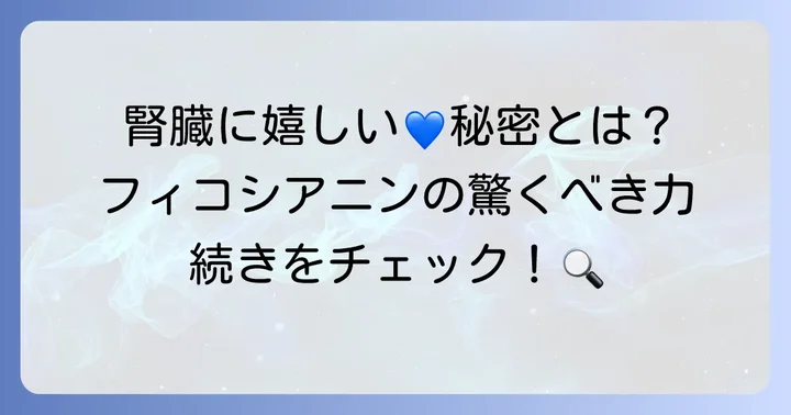 フィコシアニンが腎臓に良いとされる理由