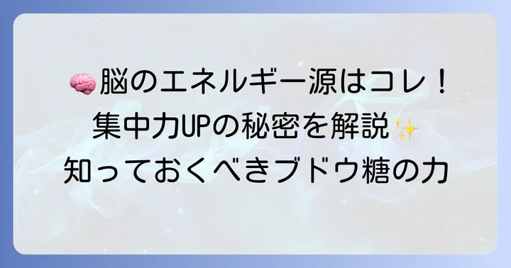 ブドウ糖が脳と体に欠かせない理由