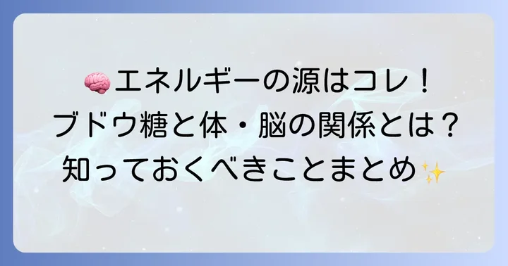 ブドウ糖とは？体と脳にとっての重要性