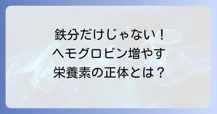 ヘモグロビンを増やすために不可欠な主要栄養素