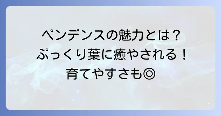 ペンデンスの魅力と基本情報