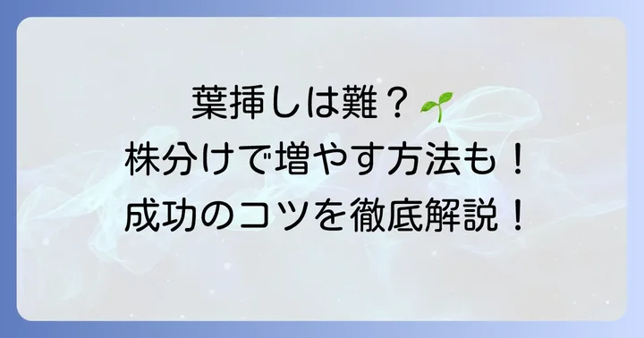 ペンデンスの葉挿しと株分けの進め方