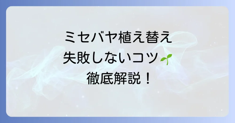 ミセバヤの植え替え時期はいつ？失敗しないためのコツと正しい方法を徹底解説