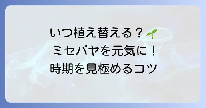 ミセバヤの植え替え時期を見極める！最適なタイミングを逃さないコツ