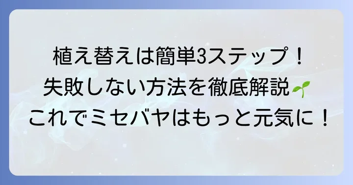 失敗しない！ミセバヤの植え替え方法をステップバイステップで解説