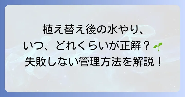 植え替え後のミセバヤの管理と注意点