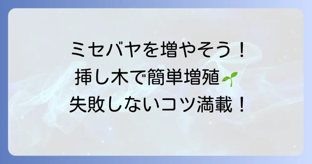 ミセバヤの増やし方：挿し木で簡単！失敗しないコツと育て方を徹底解説