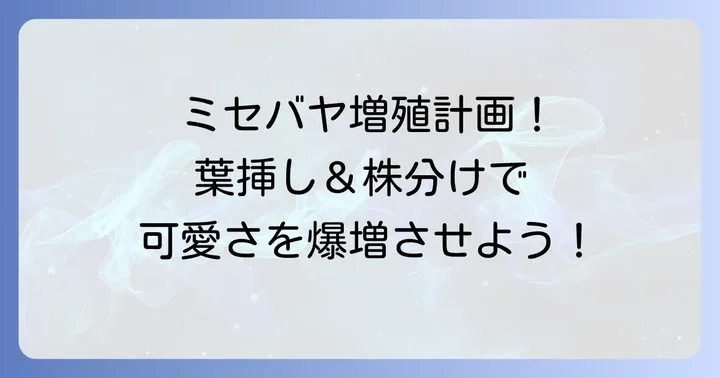 挿し木以外の増やし方:葉挿しと株分け