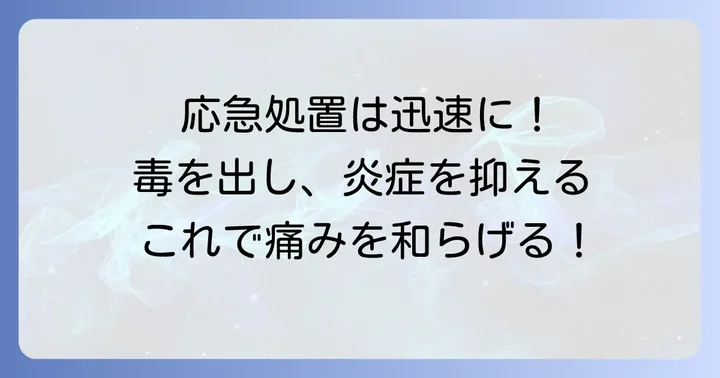 ムカデに刺されたらまず何をする？正しい応急処置の進め方