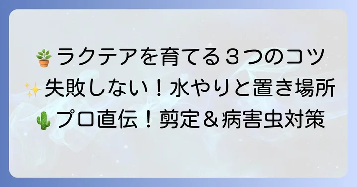 ユーフォルビアラクテアを美しく育てるコツ