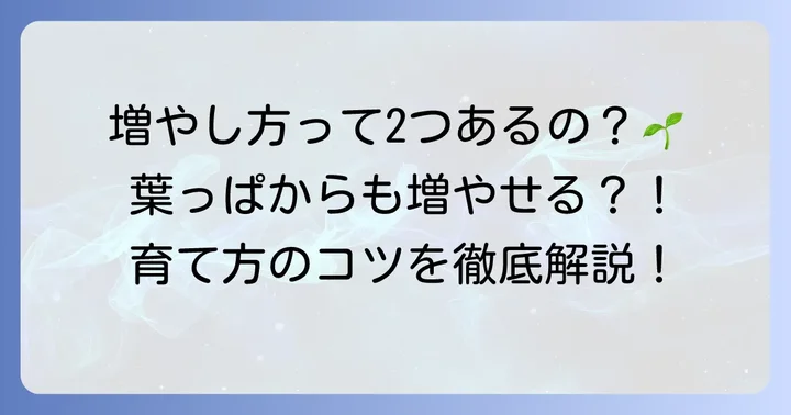 ラブリーローズの増やし方2つの方法