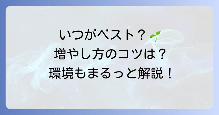 ラブリーローズを増やすのに最適な時期と環境