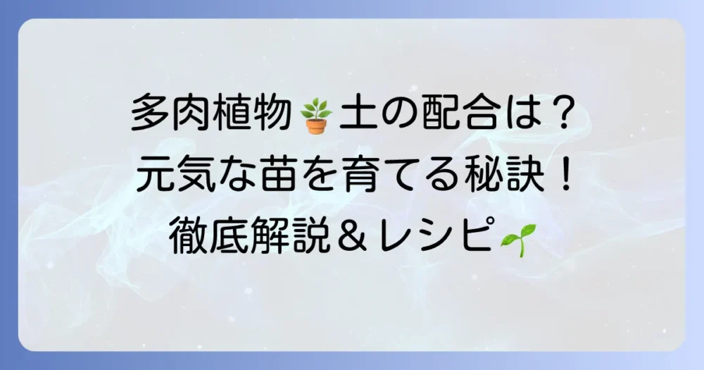 リエール多肉植物の土配合を徹底解説！元気に育てる秘訣と注意点