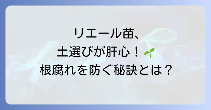 リエール多肉植物の土配合が重要な理由