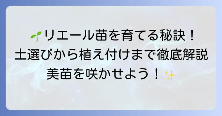 リエール多肉植物の土配合レシピと材料の選び方