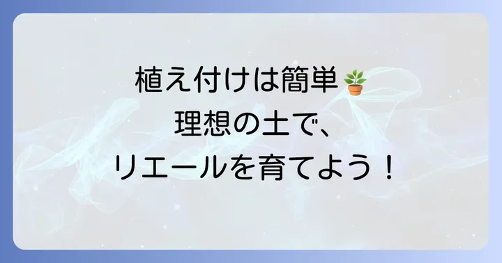配合土を使ったリエール多肉植物の植え付けと管理