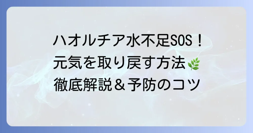ハオルチアの水不足のサインと適切な水やりで元気を取り戻す方法