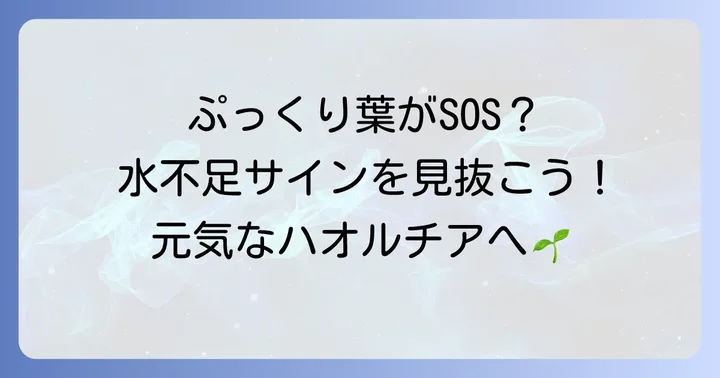 ハオルチア水不足のサインを見極める