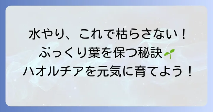 適切な水やり方法でハオルチアの水不足を予防するコツ