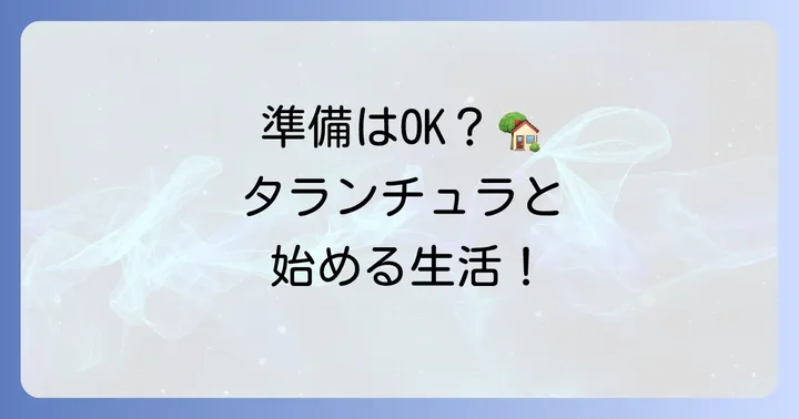 レインフォレストタランチュラ飼育の準備