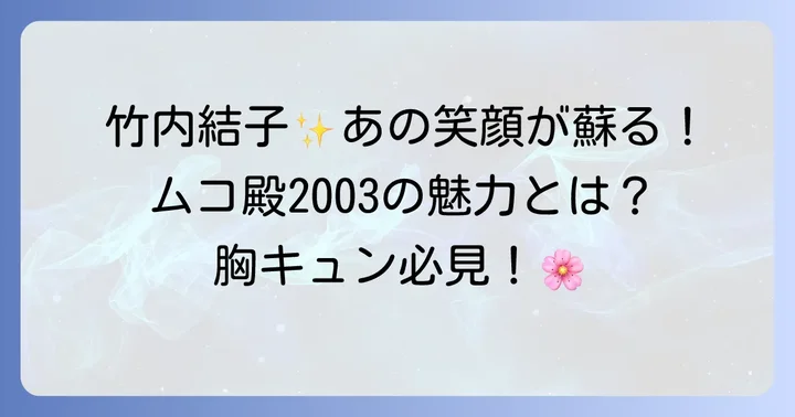 ムコ殿2003とは?竹内結子が輝いた人気ドラマの概要