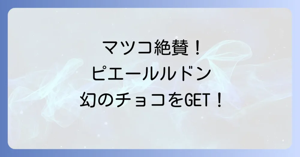 ピエール・ルドンがマツコの知らない世界で絶賛されたチョコレートの魅力と購入方法