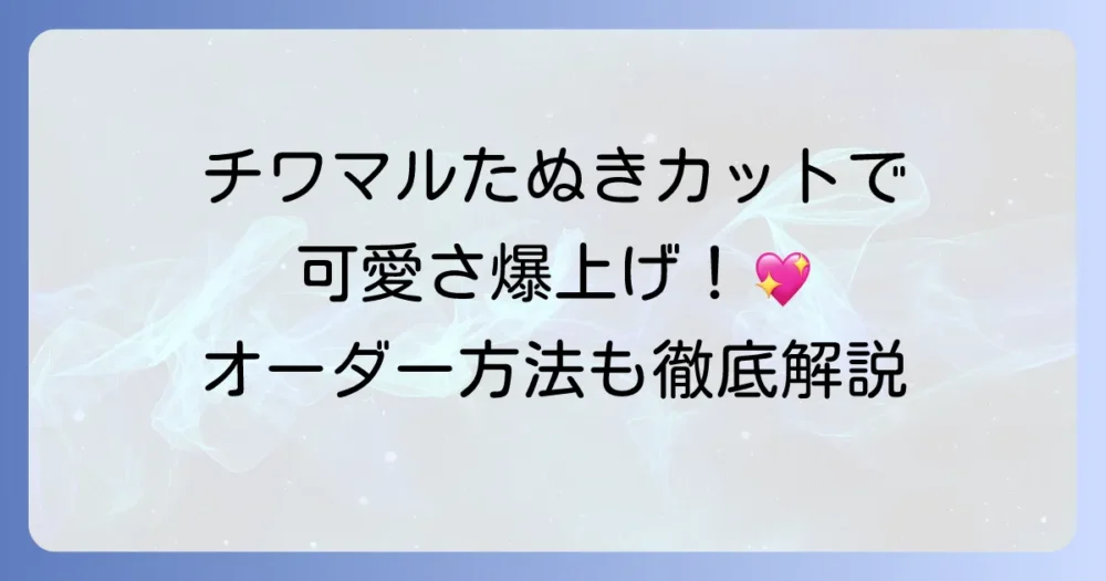 チワマルのたぬきカットで愛犬がもっと可愛くなる！魅力とオーダー方法を徹底解説