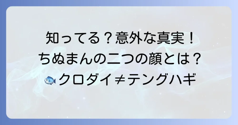 「ちぬまん」の意味を徹底解説！クロダイとテングハギ、二つの魚の魅力と釣り方