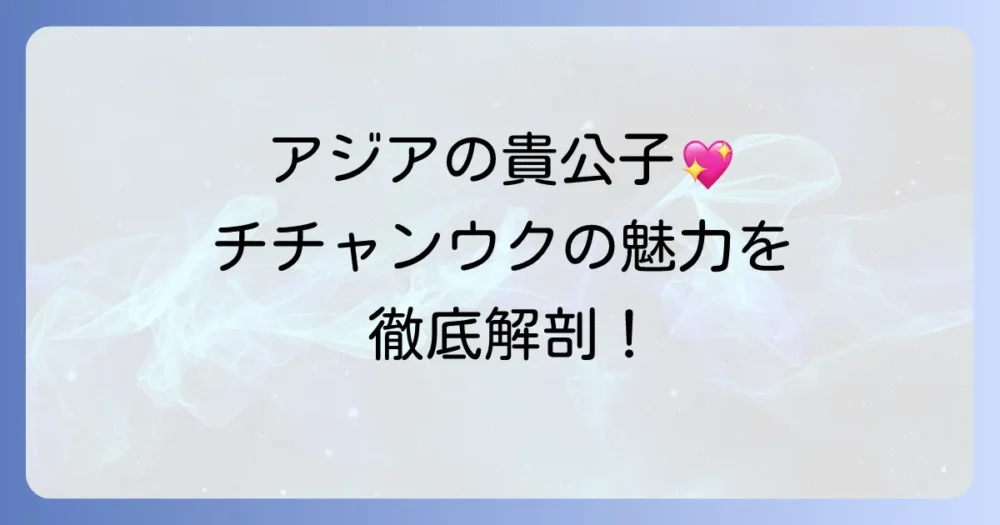 チチャンウクの美しさと韓国での人気を深掘り!彼の魅力を徹底解説