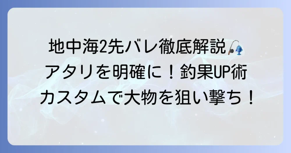 地中海2の先バレカスタムで釣果を伸ばす方法を徹底解説