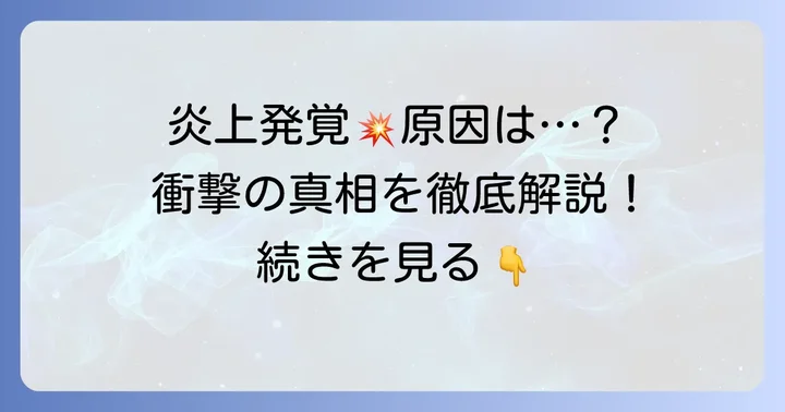 ちぬ子チャンネル炎上の経緯と具体的な原因