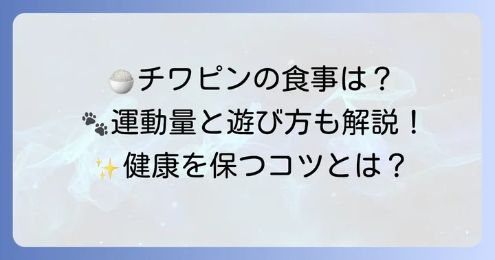 健康で快適な毎日を！チワピン成犬の食事と運動