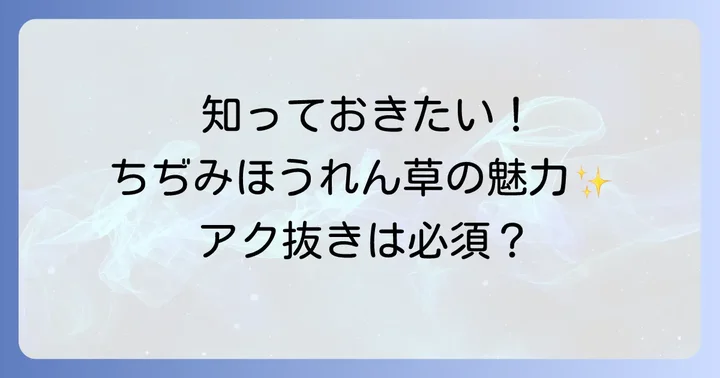 旬のちぢみほうれん草の魅力とアク抜きの重要性