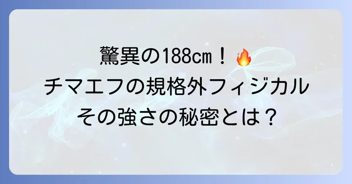 チマエフの身長は188cm！リーチと合わせて驚異のフィジカル