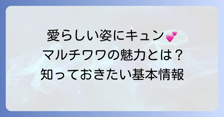 マルチワワ成犬の基本情報と魅力