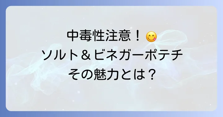 ソルトアンドビネガーポテチとは？その独特な魅力