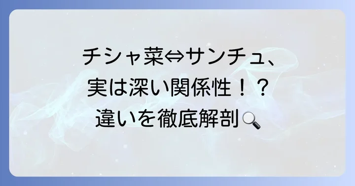 チシャ菜とサンチュの基本的な関係性