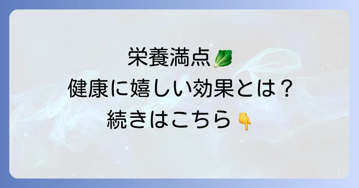 チシャ菜とサンチュの栄養価と健康へのメリット