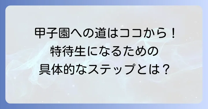 智弁和歌山野球部特待生になるための具体的な進め方