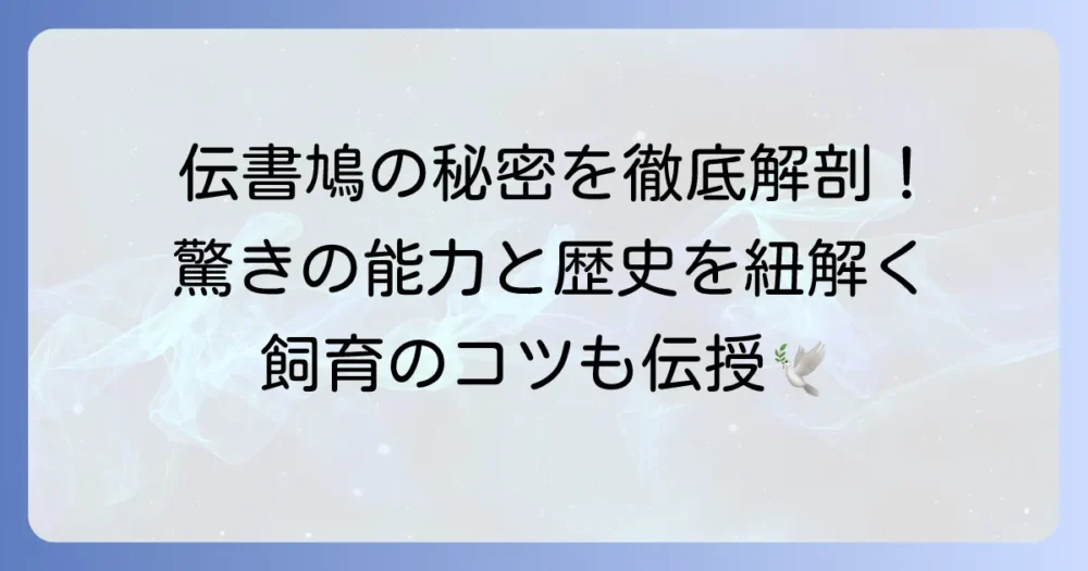 伝書鳩の驚くべき能力と歴史：現代における役割から飼育のコツまで徹底解説