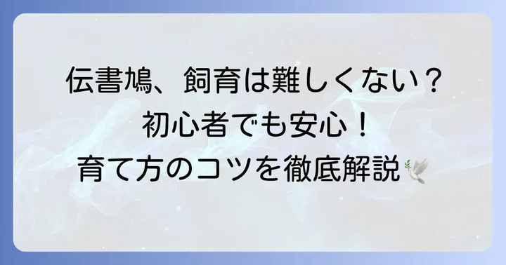 伝書鳩の飼育と訓練：初心者でもわかる基礎知識