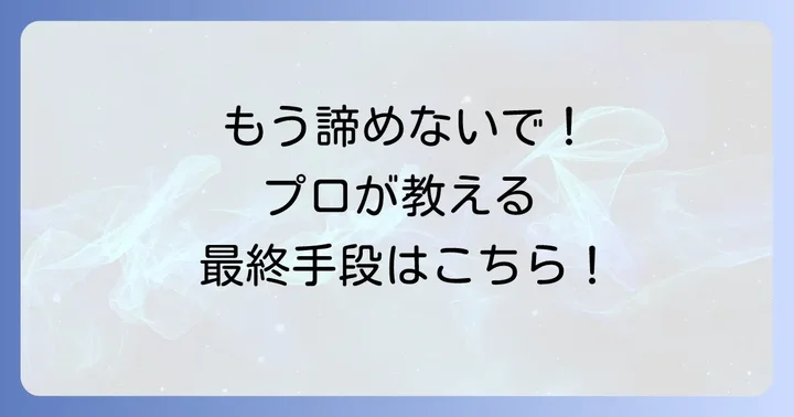 E202エラーが解決しない場合の専門的な対処法