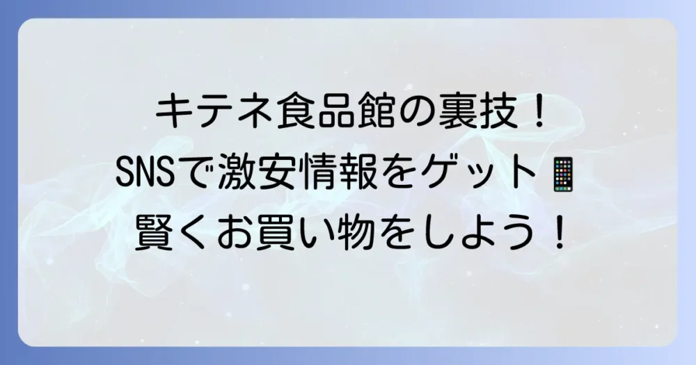 キテネ食品館のチラシはSNSでチェック！お得な特売情報を逃さない方法を徹底解説