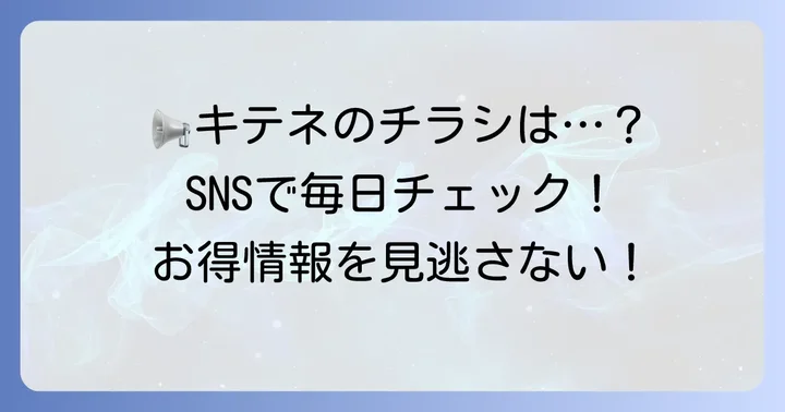 キテネ食品館のチラシはSNSで毎日更新！お得情報を見つけるコツ