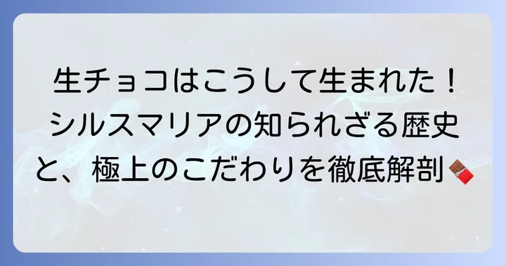 シルスマリアケーキの魅力とは？生チョコ発祥の歴史とこだわり